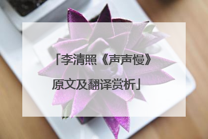 李清照《声声慢》原文及翻译赏析