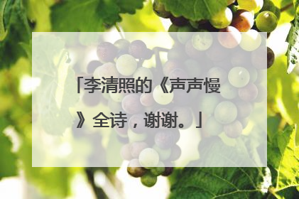 李清照的《声声慢》全诗,谢谢。