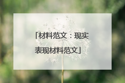 材料范文：现实表现材料范文