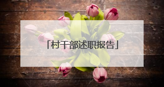 村干部述职报告