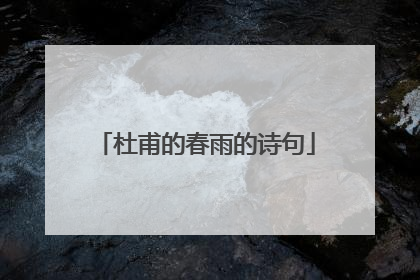 杜甫的春雨的诗句