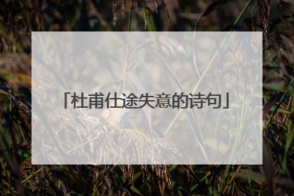 杜甫仕途失意的诗句