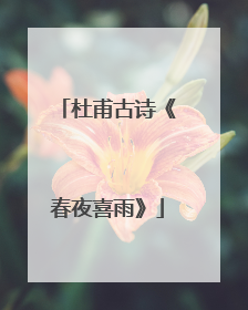 杜甫古诗《春夜喜雨》