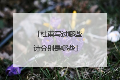 杜甫写过哪些诗分别是哪些