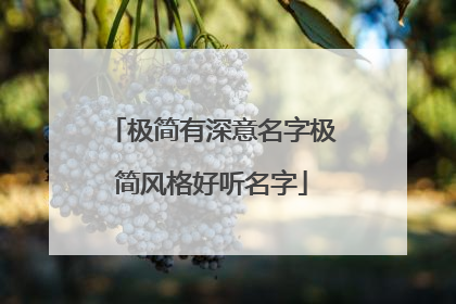 极简有深意名字极简风格好听名字