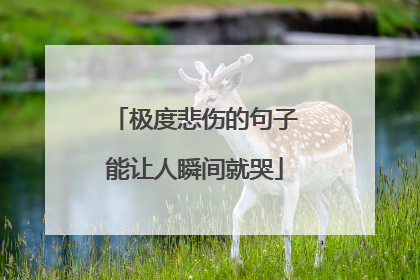 极度悲伤的句子能让人瞬间就哭