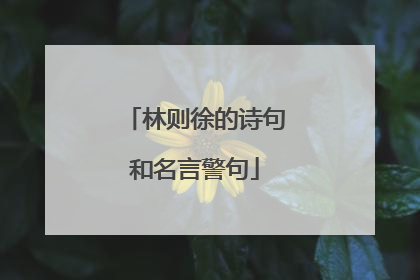 林则徐的诗句和名言警句