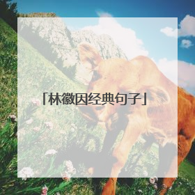 林徽因经典句子