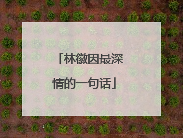 林徽因最深情的一句话