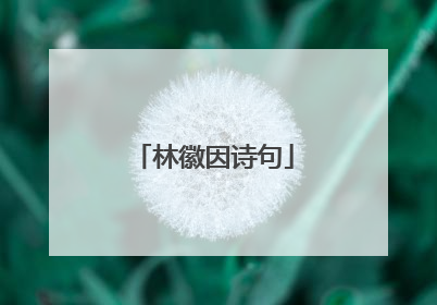 林徽因诗句