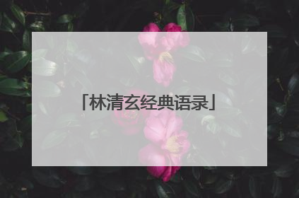 林清玄经典语录