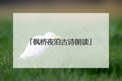 枫桥夜泊古诗朗读