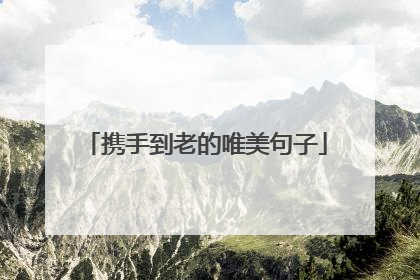 携手到老的唯美句子