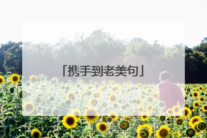 携手到老美句