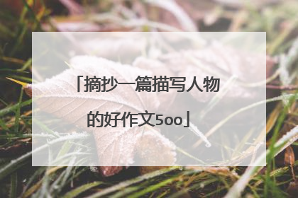 摘抄一篇描写人物的好作文5oo