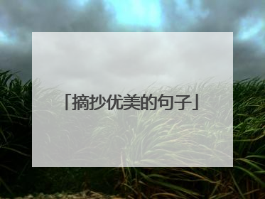 摘抄优美的句子