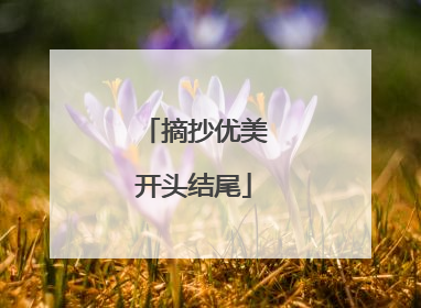 摘抄优美开头结尾