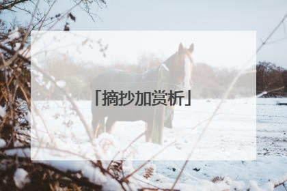 摘抄加赏析