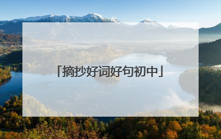 摘抄好词好句初中