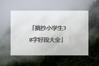 摘抄小学生30字好段大全