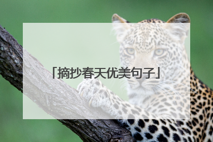 摘抄春天优美句子