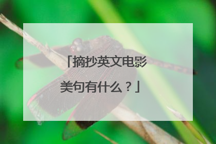 摘抄英文电影美句有什么？