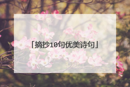 摘抄10句优美诗句