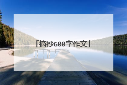 摘抄600字作文