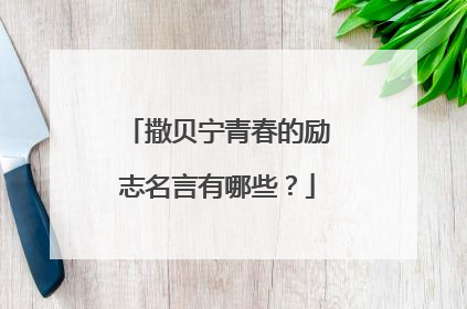 撒贝宁青春的励志名言有哪些?