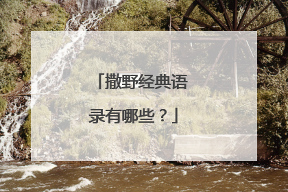 撒野经典语录有哪些？