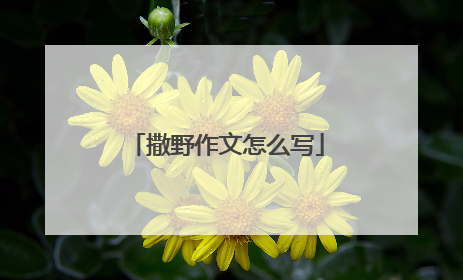 撒野作文怎么写