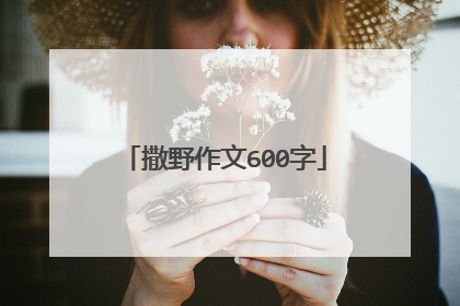 撒野作文600字