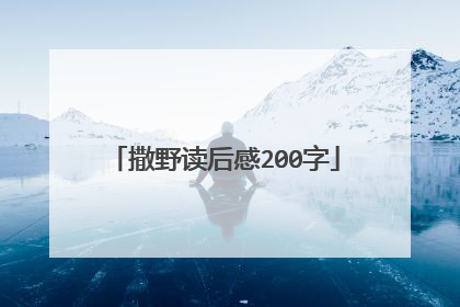 撒野读后感200字