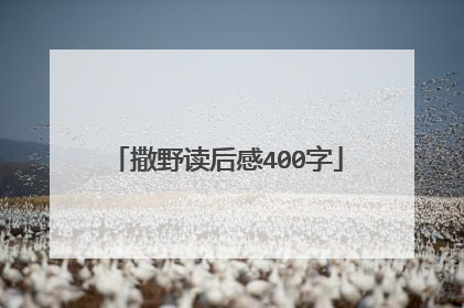 撒野读后感400字