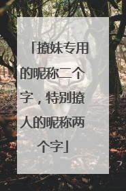 撩妹专用的昵称二个字，特别撩人的昵称两个字