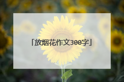 放烟花作文300字