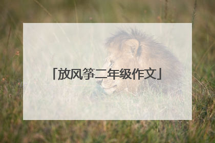 放风筝二年级作文