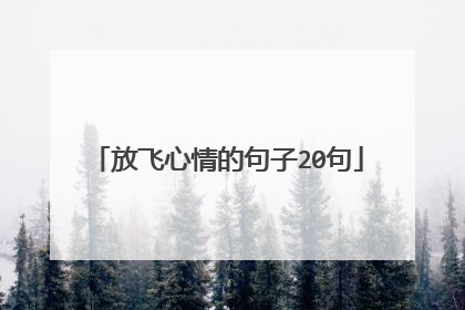 放飞心情的句子20句