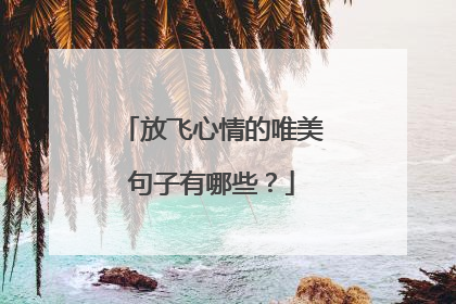 放飞心情的唯美句子有哪些?