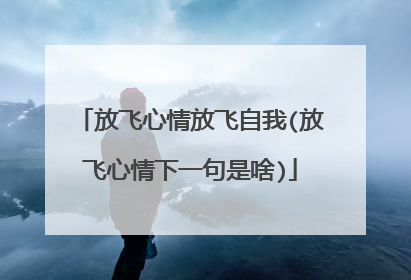 放飞心情放飞自我(放飞心情下一句是啥)