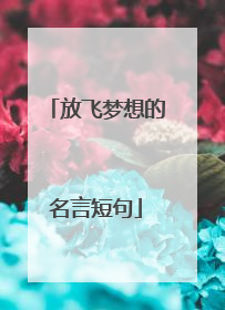 放飞梦想的名言短句