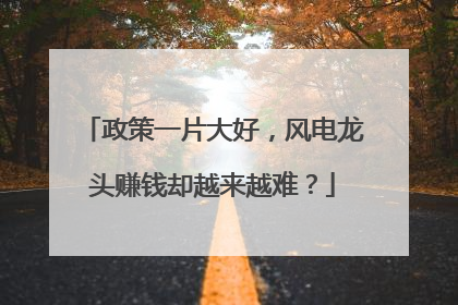 政策一片大好，风电龙头赚钱却越来越难？