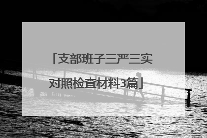支部班子三严三实对照检查材料3篇