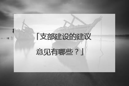 支部建设的建议意见有哪些?