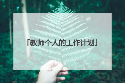 教师个人的工作计划
