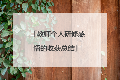 教师个人研修感悟的收获总结