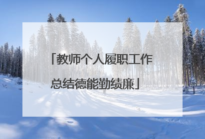 教师个人履职工作总结德能勤绩廉