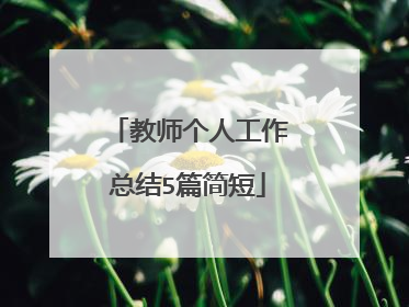 教师个人工作总结5篇简短