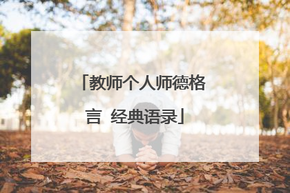 教师个人师德格言 经典语录