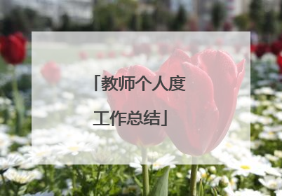 教师个人度工作总结